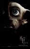 dobby.jpg