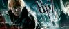 Filename=ron_1.jpg
Filesize=110KB
Dimensions=769x331
Date added=Oct 24, 2010 ron_1.jpg