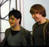 Filename=deathlyhallows-filming10_(18).jpg
Filesize=262KB
Dimensions=1600x1522
Date added=Dec 28, 2009 deathlyhallows-filming10_(18).jpg